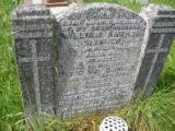 image of grave number 244521